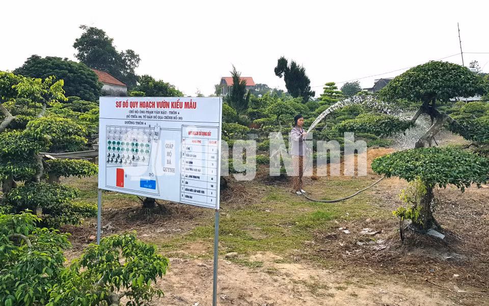 Khu dân cư kiểu mẫu, vườn mẫu của các thôn, các hộ gia đình đều có sơ đồ quy hoạch (Vườn mẫu nhà ông Phạm Văn Hậu, thôn 4, xã Quảng Minh, huyện Hải Hà) (12-2017). Ảnh: Thái Cảnh