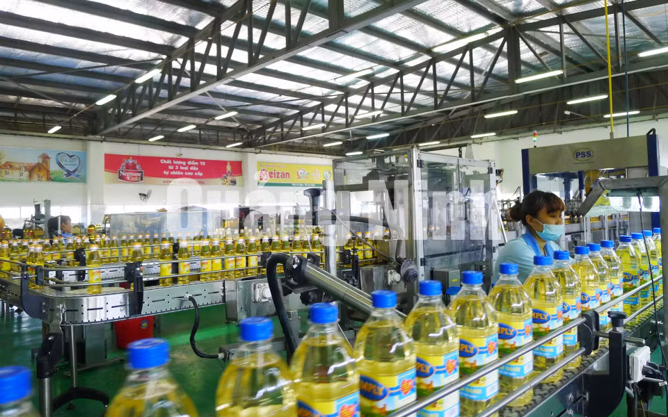 Sản xuất dầu ăn tại Công ty TNHH Dầu thực vật Cái Lân (10-2018). Ảnh: Hiểu Trân