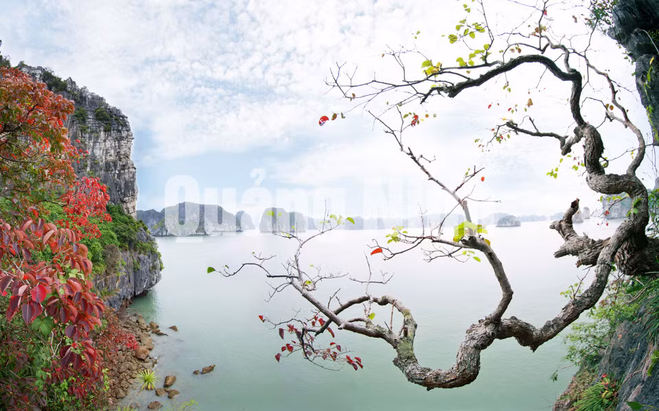 Cảnh đẹp Vịnh Hạ Long. Ảnh: Khánh Giang