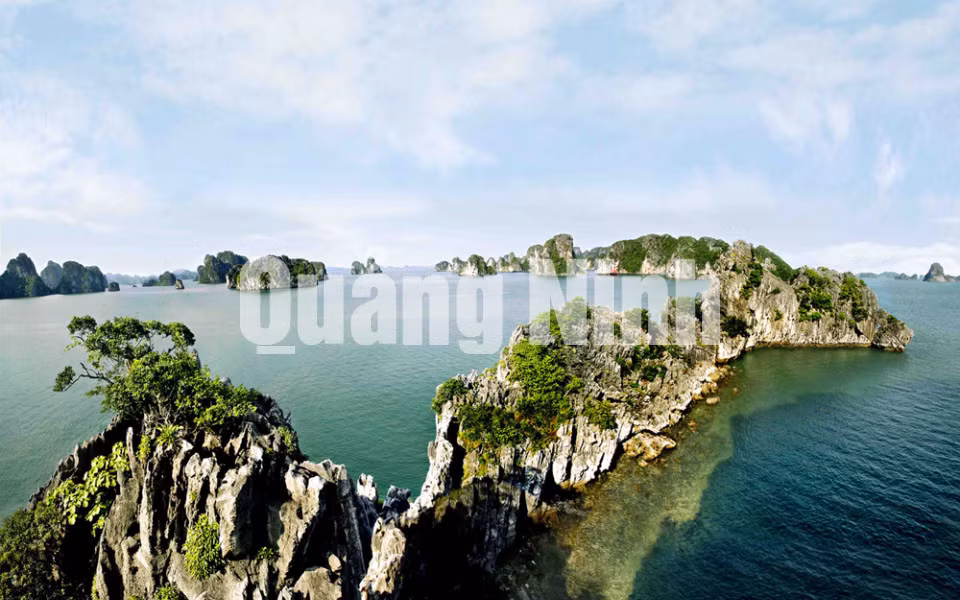 Rồng hạ. Ảnh: Đỗ Giang