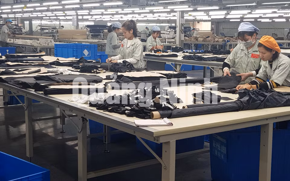 Sản xuất tại Công ty TNHH May mặc Hoa Lợi Đạt Việt Nam (2-2019). Ảnh: Thái Cảnh