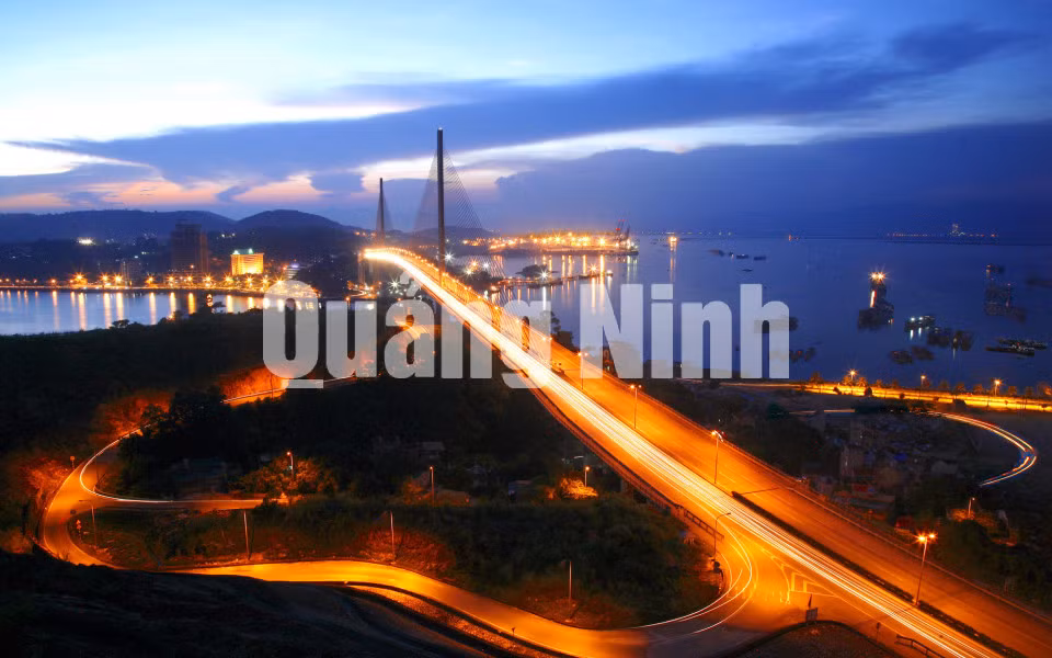 Cây đàn Hạ Long. Ảnh: Dương Phượng Đại