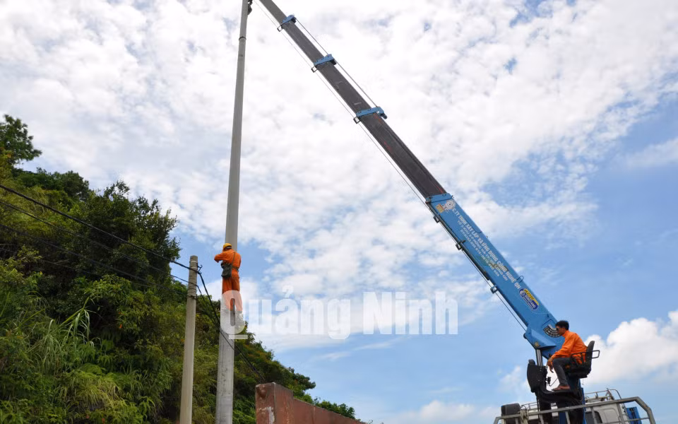Dự án đưa điện lưới ra huyện đảo Cô Tô, tháng 11-2012 ảnh 8