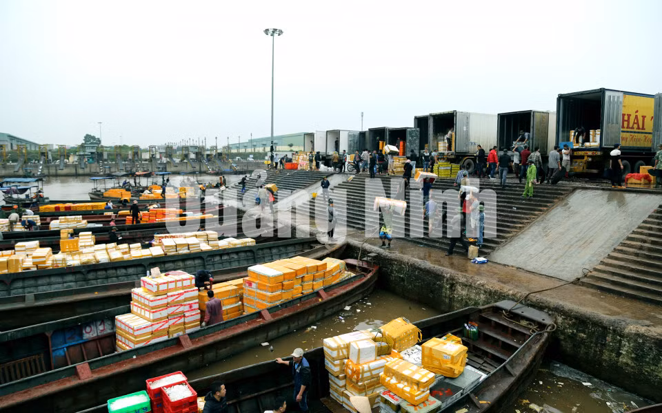 Xuất khẩu hàng thủy sản tại Cảng ICD Thành Đạt (8-2019). Ảnh: Hữu Việt