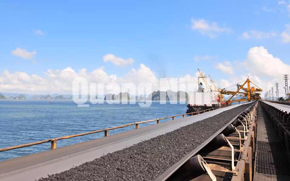 Bốc rót than tại Công ty Tuyển Than Cửa Ổng (4-2020). Ảnh do Công ty cung cấp