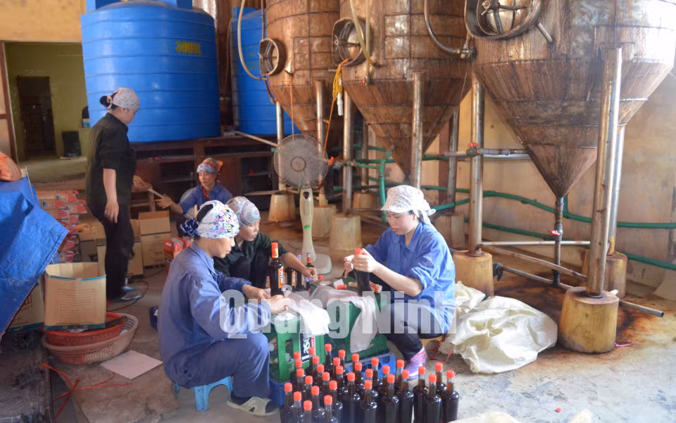 Dán nhãn cho sản phẩm. Ảnh: Cao Quỳnh