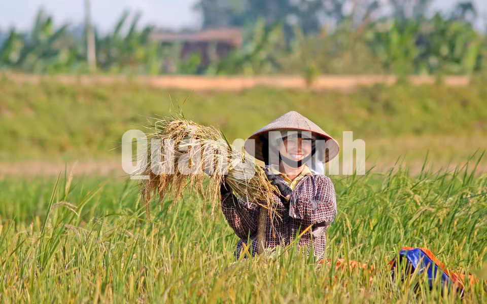 Niềm vui được mùa. Ảnh: Hùng Sơn