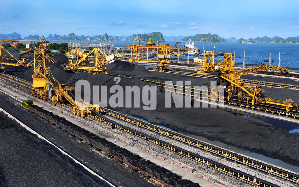 Hệ thống sàng tuyển, bốc rót than tại Công ty Tuyển than Cửa Ông (8-2011). Ảnh: Công ty Tuyển than Cửa Ông cung cấp