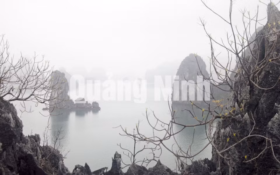 Vịnh Hạ Long mùa đông. Ảnh: Đỗ Giang