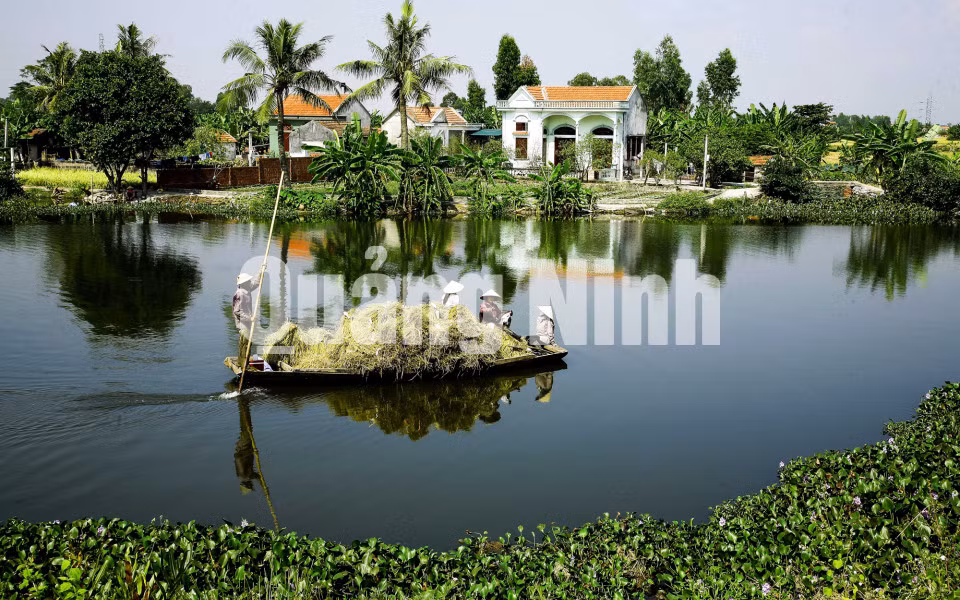 Vận chuyển thóc lúa bằng thuyền trên sông ngòi nội đồng. Ảnh: Dương Phượng Đại
