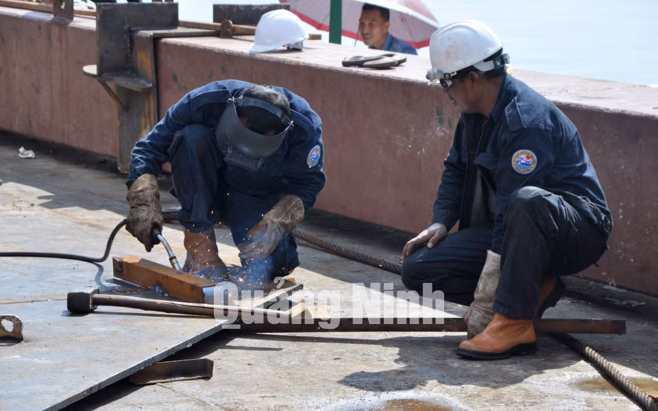 Dự án đưa điện lưới ra huyện đảo Cô Tô, tháng 11-2012 ảnh 4