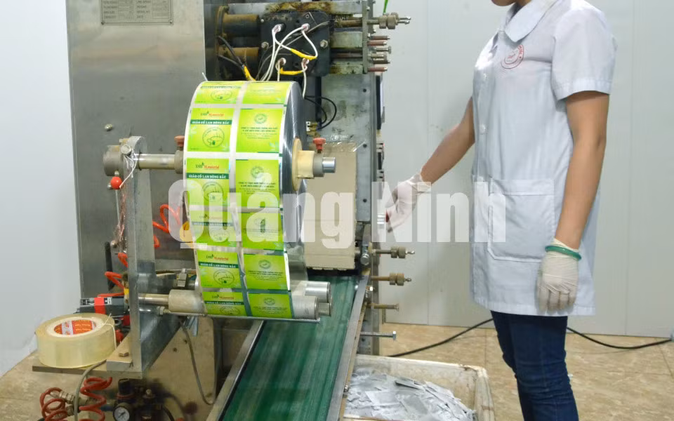 Dây chuyền sản xuất sản phẩm trà túi lọc hoàn toàn tự động (3-2018). Ảnh: Lương Giang
