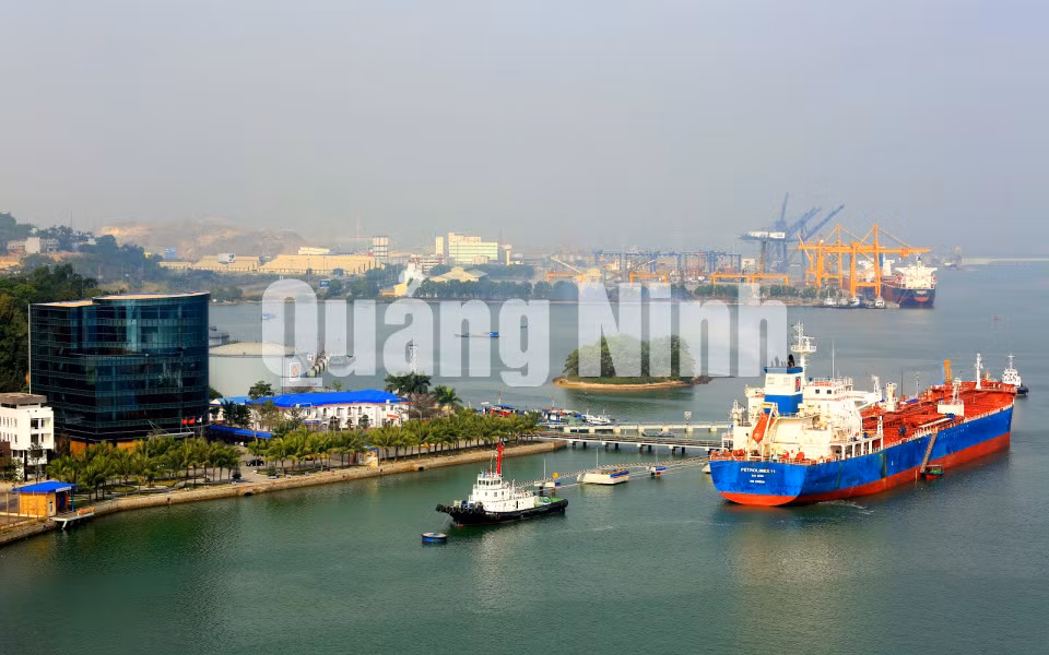 Hoạt động kinh doanh xăng, dầu tại Công ty Xăng dầu B12 (11-2019). Ảnh: Minh Đức