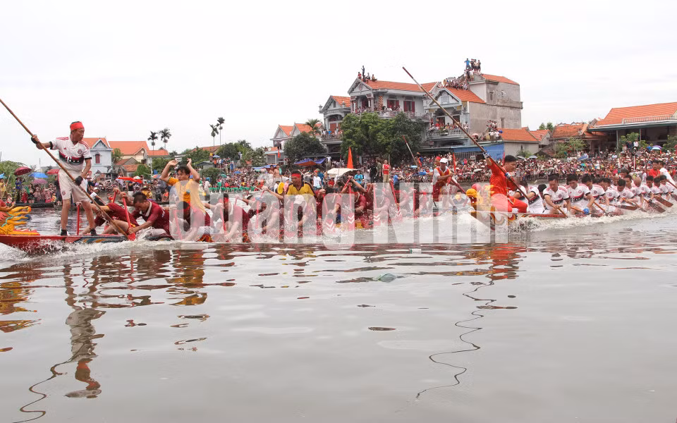 Bơi chải trong Lễ hội Xuống Đồng (7-2017). Ảnh: Lên Biên Thùy - Phòng VHTT Quảng Yên