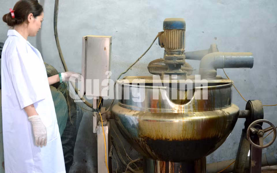 Để sản xuất sản phẩm viên nang mềm, nguyên liệu sẽ được cho vào hệ thống thiết bị nấu thành cao (3-2018). Ảnh: Lương Giang