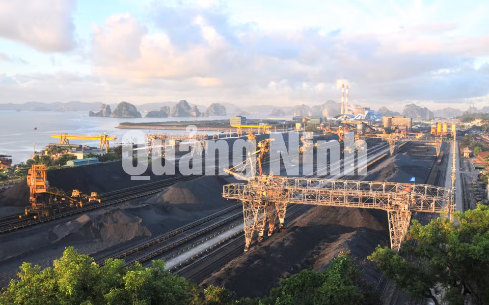 Hệ thống sàng tuyển, bốc rót than tại cảng Cửa Ông được đầu tư hiện đại. Ảnh: Đoàn Chí Trung (CTV)