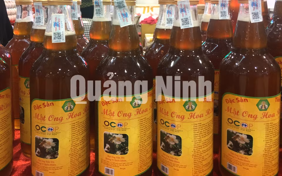 Mật ong hoa rừng Tiên Yên. Ảnh: Cao Quỳnh