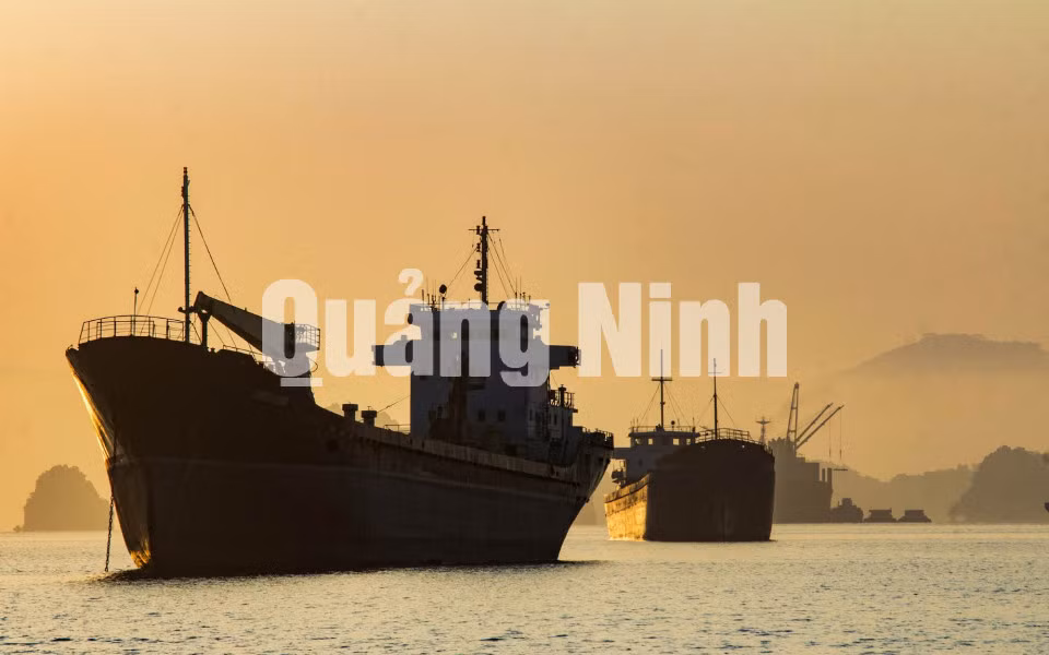 Những con tàu chờ than ảnh 5