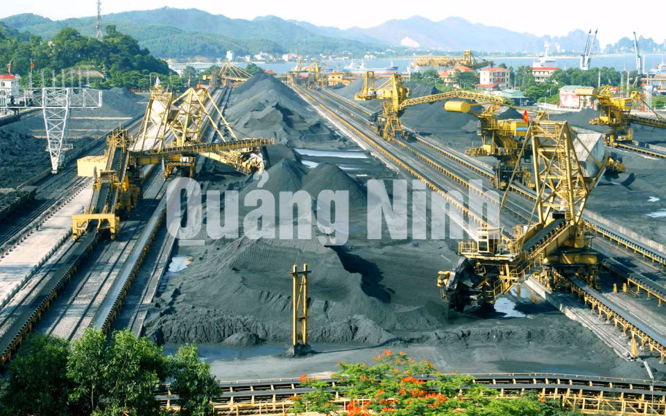 Sàng tuyển, bốc rót tiêu thụ than tại Công ty Tuyển than Cửa Ông, TP Cẩm Phả. Ảnh: Đoàn Trung