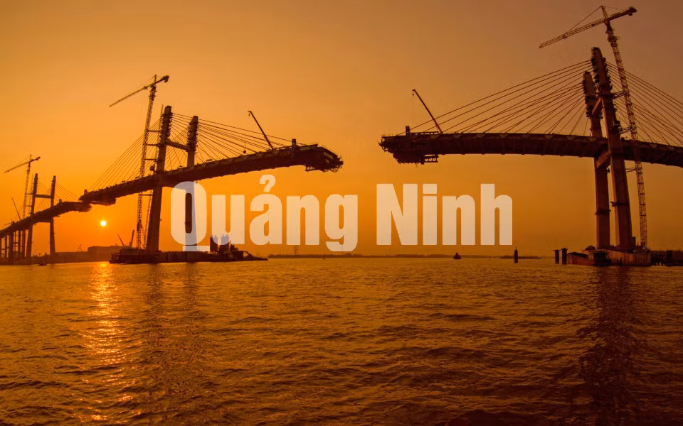 Đợi ngày hợp long (2-2018). Ảnh: Dương Văn Toàn