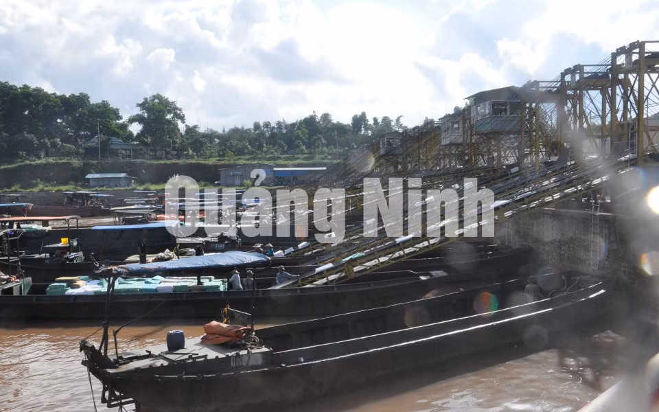 Xuất nhập khẩu hàng hoá tại Cảng ICD Thành Đạt (9-2017). Ảnh Hữu Việt