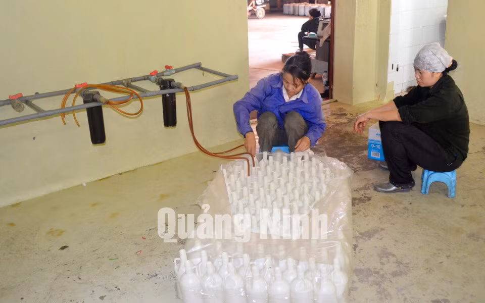 Đóng gói sản phẩm nước mắm. Ảnh: Cao Quỳnh