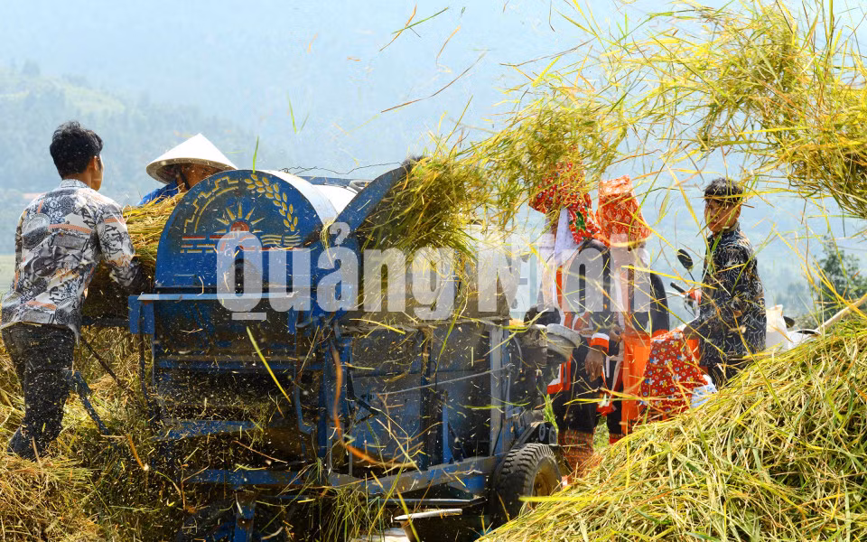 Tuốt lúa (12-2019). Ảnh: NSNA Nguyễn Khắc Đạm
