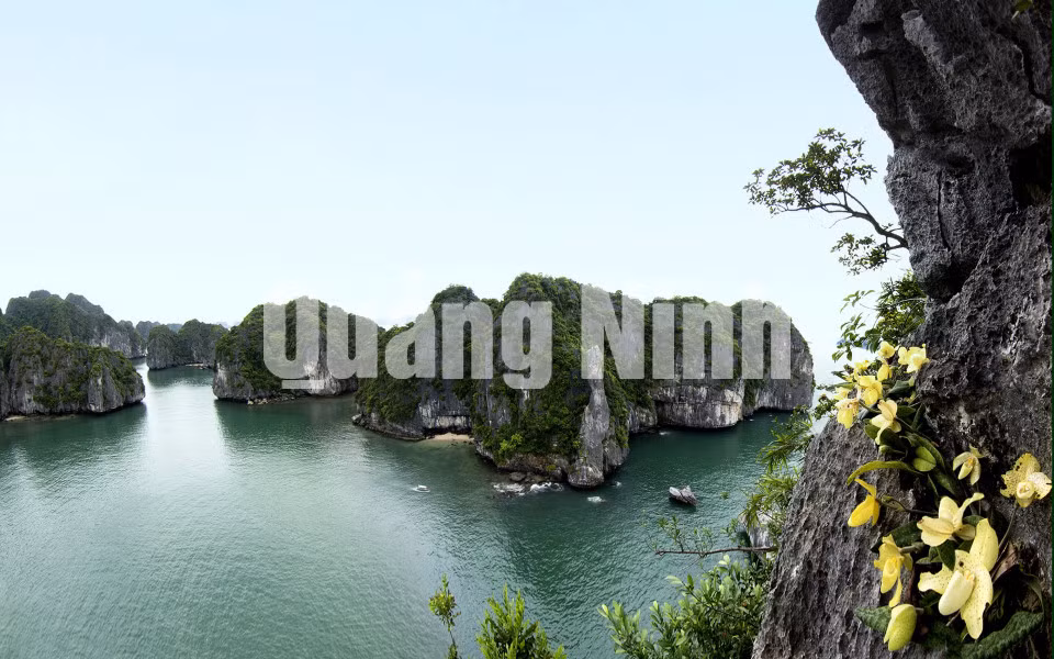 Vịnh Hạ Long mùa xuân. Ảnh: Đỗ Giang