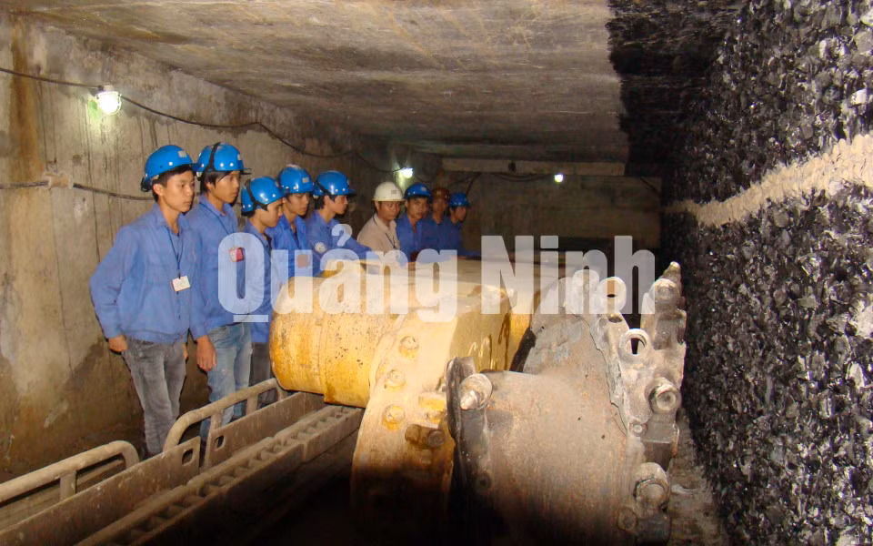 Đào tạo nghề theo mô hình khai thác thực tế. Ảnh: Việt Trung