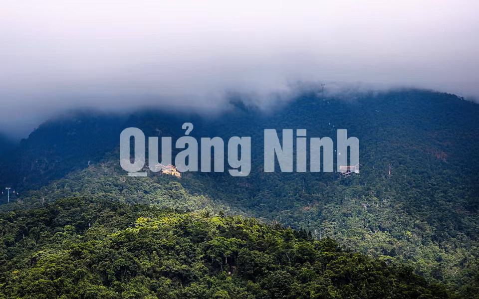 Yên Tử u minh (12-2016). Ảnh: Hùng Sơn