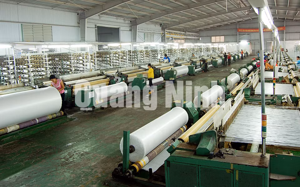 Sản xuất bạt tại Công ty TNHH Vina New Tapra (7-2020). Ảnh: Minh Đức