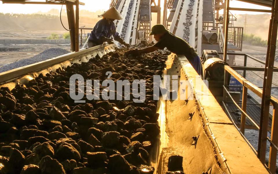 Sàng tuyển than (Công ty Than Hà Lầm) (5-2020). Ảnh: Dương Phượng Đại.