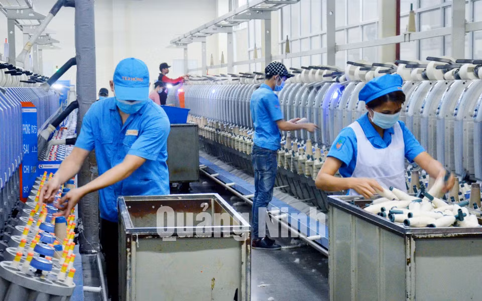 Sản xuất của Công ty TNHH khoa học kỹ thuật Texhong Ngân Long (2-2020). Ảnh: Nguyễn Thanh