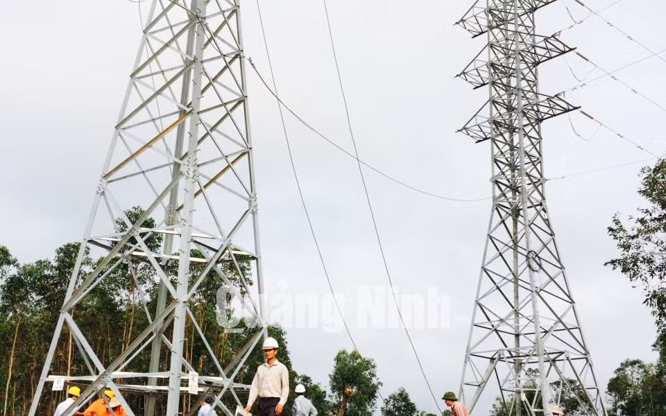 Dự án Đưa điện lưới ra 5 xã đảo huyện Vân Đồn, tháng 1-2015 ảnh 9