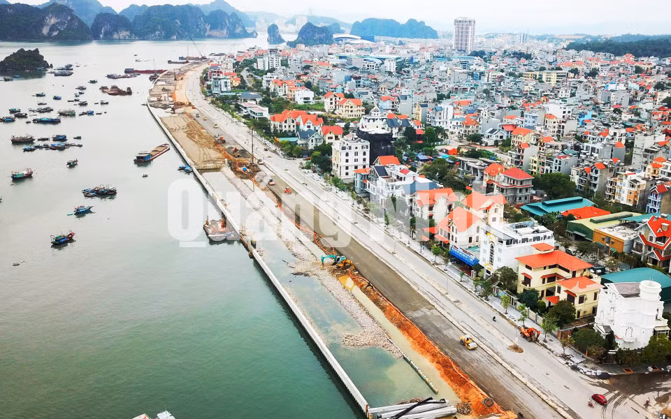 Ảnh: Đỗ Phương