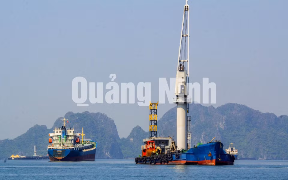 Những con tàu chờ than ảnh 3