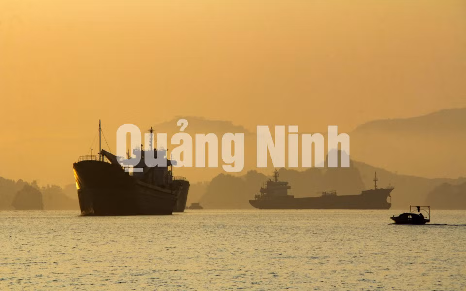 Những con tàu chờ than ảnh 2