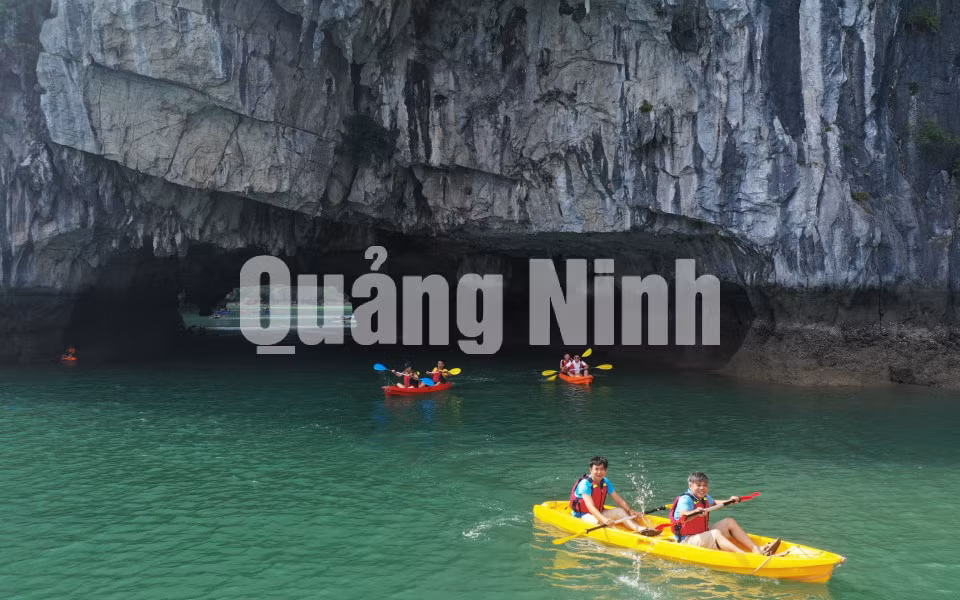 Du khách chèo thuyền Kayak tham quan Vịnh Hạ Long (8-2020). Ảnh: Đỗ Phương