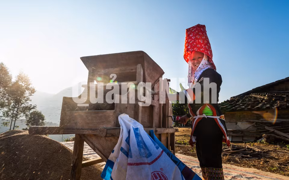 Xây xát lúa (8-2019). Ảnh: Nguyễn Thành Chung