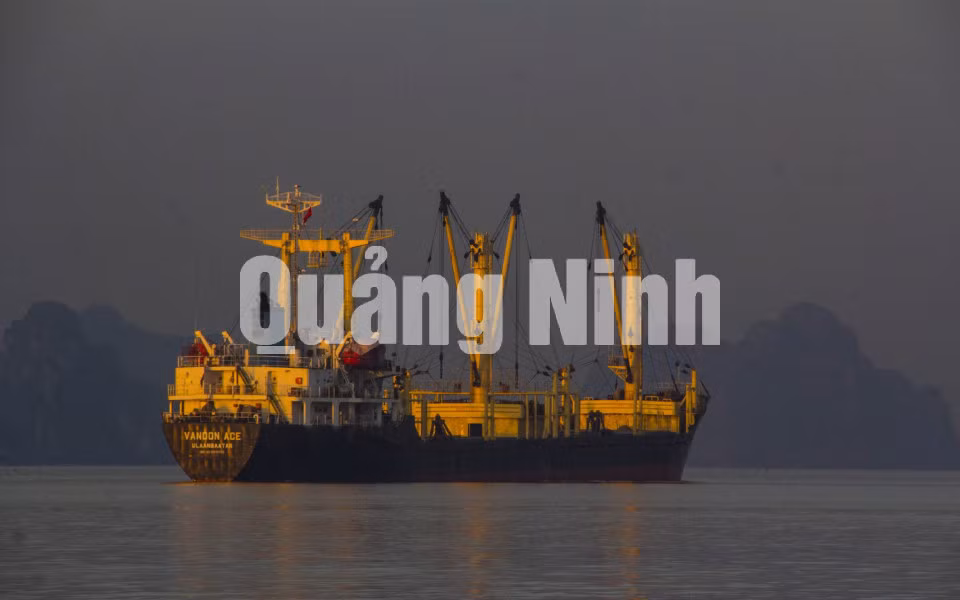 Những con tàu chờ than ảnh 4