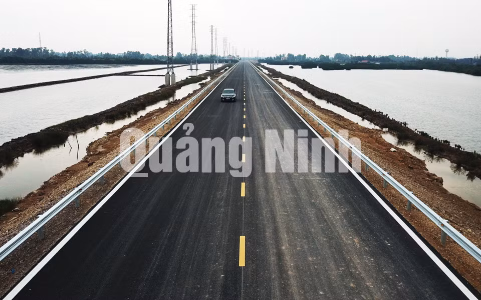 Ảnh: Đỗ Phương