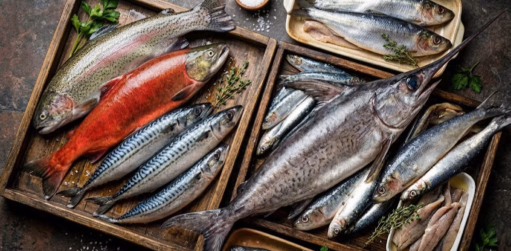 Một số loại cá giàu vitamin D. Ảnh minh họa.