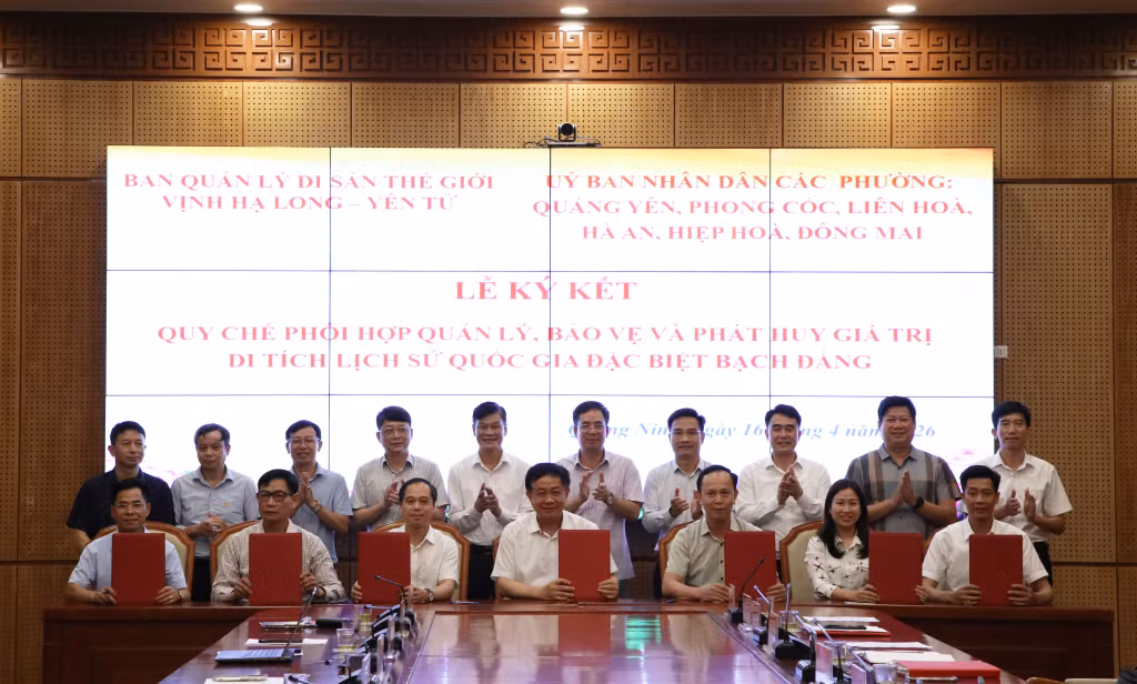 Ban Quản lý Di sản thế giới Vịnh Hạ Long – Yên Tử đã ký kết Quy chế phối hợp quản lý, bảo vệ và phát huy giá trị Di tích lịch sử quốc gia đặc biệt Bạch Đằng với UBND các phường Quảng Yên, Phong Cốc, Liên Hòa, Hà An, Hiệp Hòa, Đông Mai.
