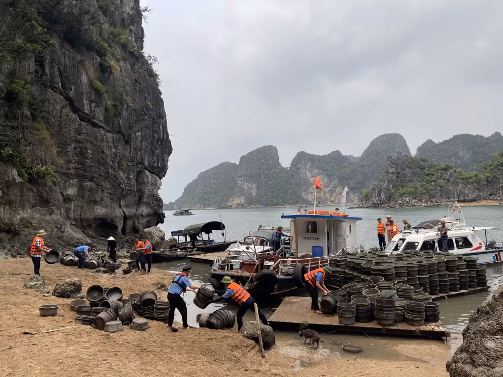 Lực lượng chức năng tạm giữ toàn bộ tang vật và yêu cầu các cá nhân liên quan đến trụ sở Ban Quản lý Di sản thế giới Vịnh Hạ Long - Yên Tử làm việc theo quy định.