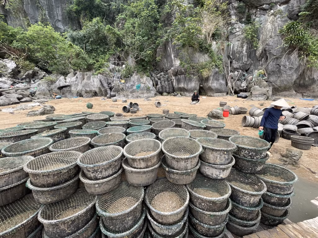 Tang vật lồng cát để nuôi ngao trái phép tại hiện trường.