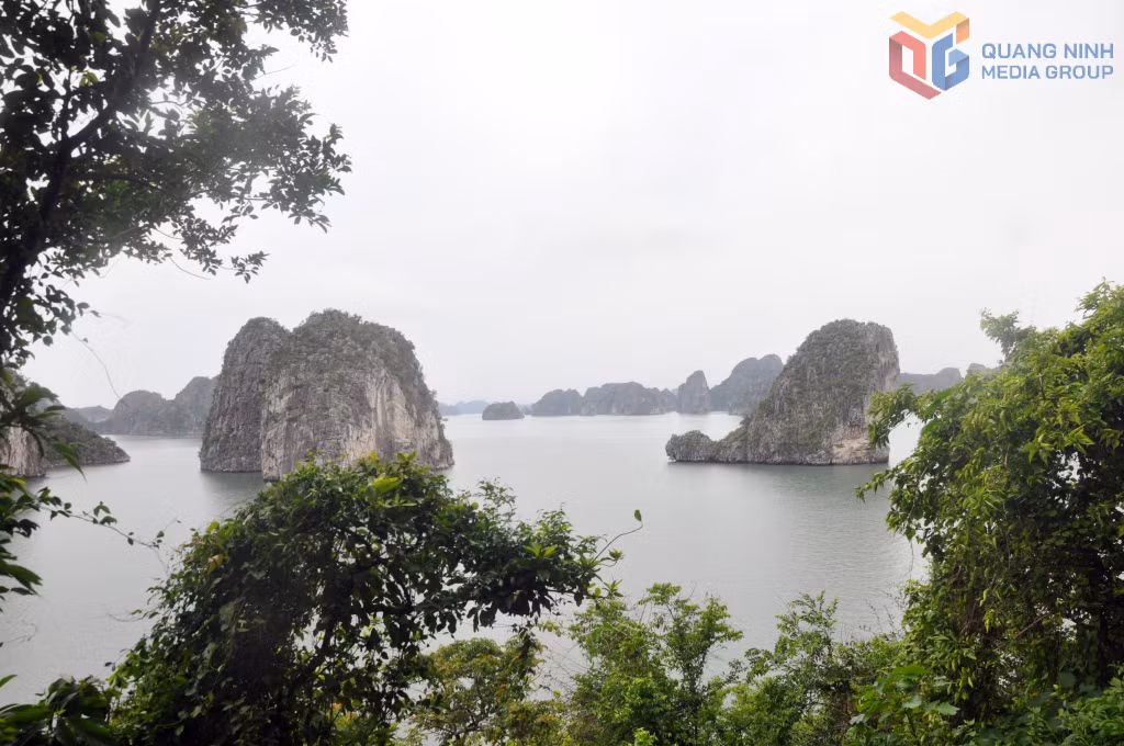 Vịnh Hạ Long nhìn từ hang Cỏ - một điểm đến trong hành trình VHL4 - vịnh Lan Hạ.