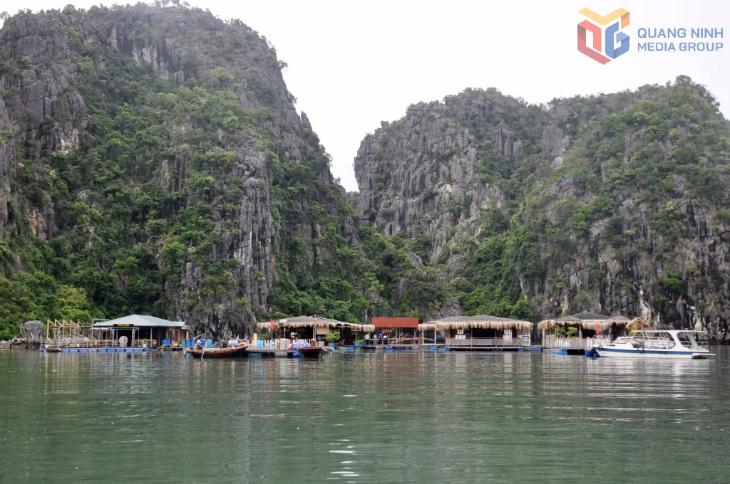 Làng chài Vung Viêng trên vịnh Hạ Long.