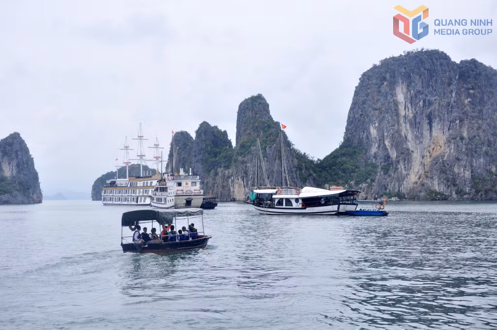 Tender chuyển tải khách từ du thuyền lên bờ và ngược lại tại khu vực hang Cỏ.