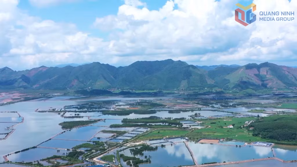 Cùng với diện tích rừng ngập mặn, xã Hải Lạng còn có diện tích nuôi trồng thủy sản gần 2000 ha.