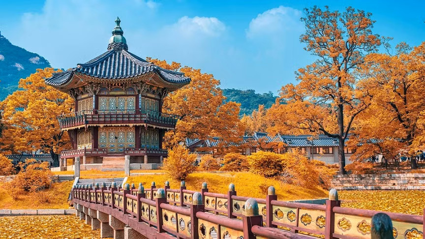 Tour du lịch Hàn Quốc